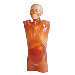 CT Torso Phantom CTU-41