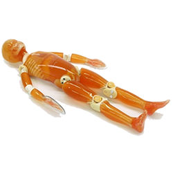 Pediatric Whole Body Phantom
