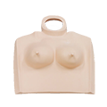 Breast plate for Chest Phantom N-1 LUNGMAN 3